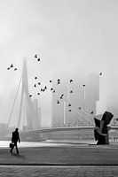 Misty Morning - Erasmusbrücke im Nebel