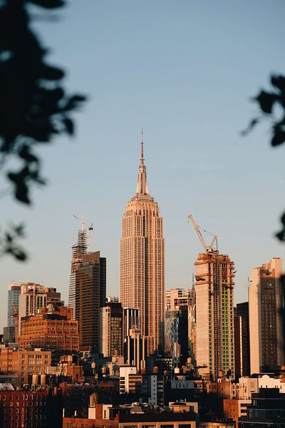 New York City by Hello Pompoyo