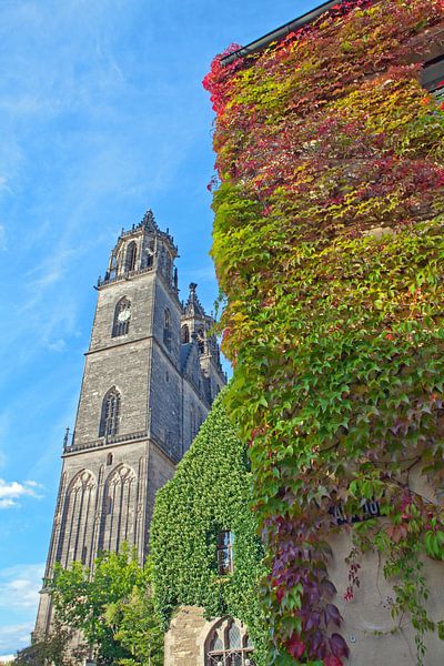 L'été indien à la cathédrale de Magdebourg par t.ART