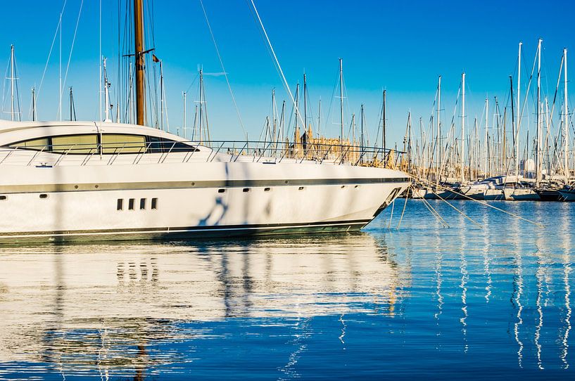 Yachthafen von Palma de Mallorca, mit Blick auf die berühmte Kathedrale von Alex Winter