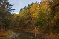 Autumn on Heidestein