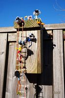 Nichoir escaladé par des ornithologues en forme de poupées Fubby.