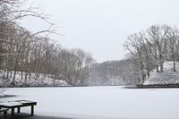 Bevroren meer met laagje sneeuw