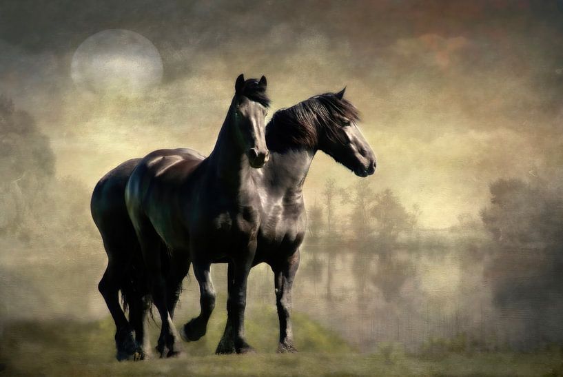 Together Friesenpferde von Annie Snel