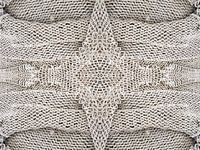 structuur van een visnet