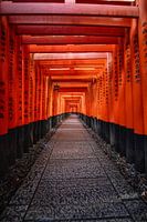 Portes Torii mystiques au lever du soleil - Silence spirituel au Japon