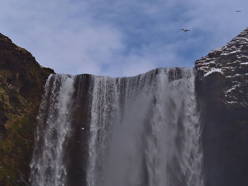 Hinabstürzender Skógafoss in Island von Timon Schneider