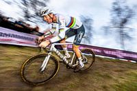 Vestingcross Hulst Mathieu van der Poel