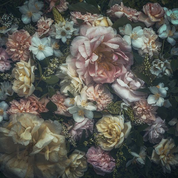 Leanna by Marina de Wit