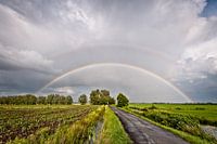 Regenbogen über den Polder.