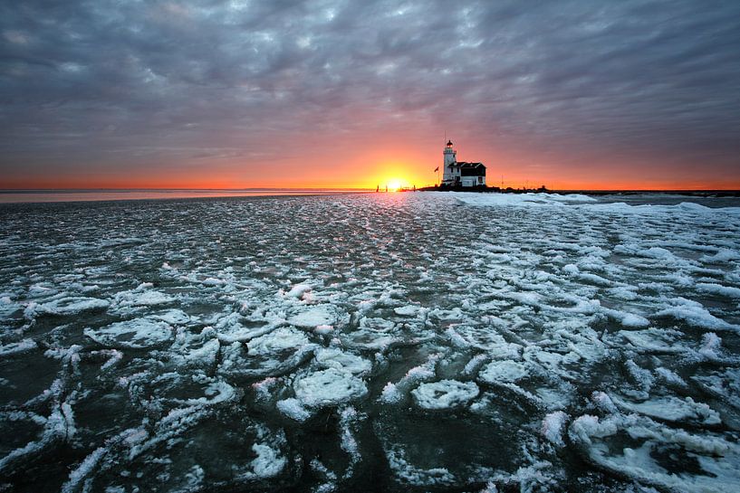 Cheval de Marken en hiver par Mark Leeman