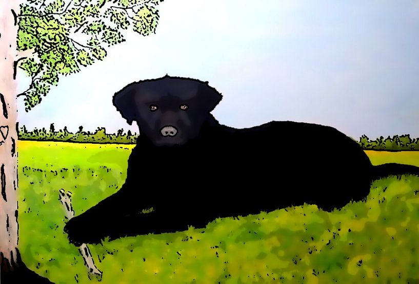  BLACK CURLY COMIC by Aat Kuijpers