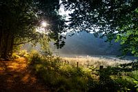 Le soleil levant lors d'une belle matinée de printemps.
