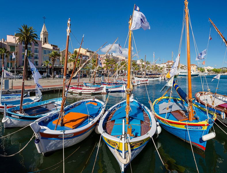 Traditionelle Fischerboote im Hafen, Sanary sur Mer, Frankreich von Rene van der Meer