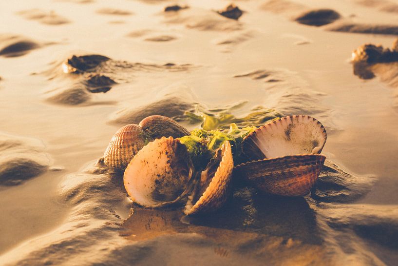Beachviews by Wolbert Erich