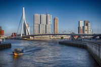 Watertaxi in Rotterdam