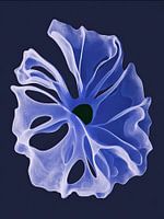 Blaue abstrakte Blume