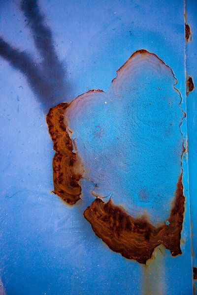 Hart by Anne Reitsma