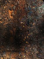 Autowrack mit Rost 16