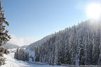 Winters dal in Zwitserland