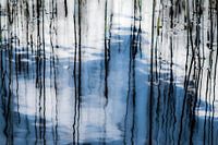 I still got the blues for you