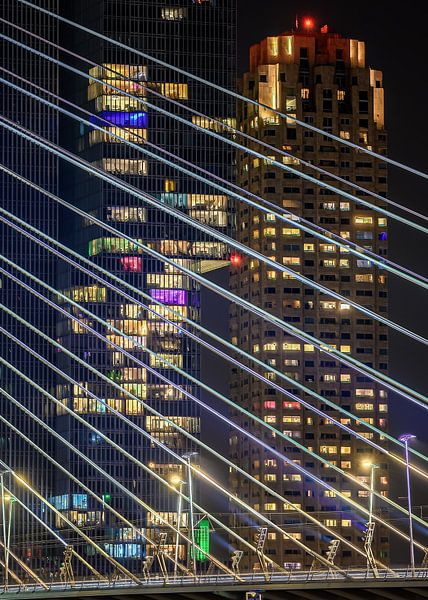 Beleuchtete Pylone der Erasmusbrücke von Leon Okkenburg