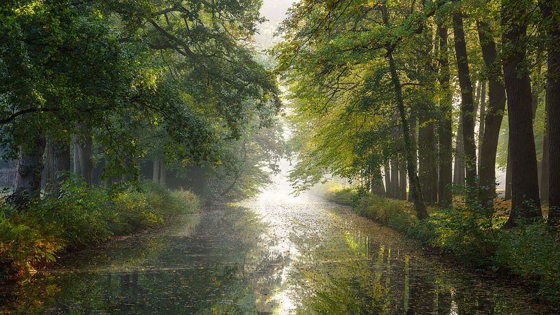 Wenn die Blätter sich drehen von Arnoud van de Weerd