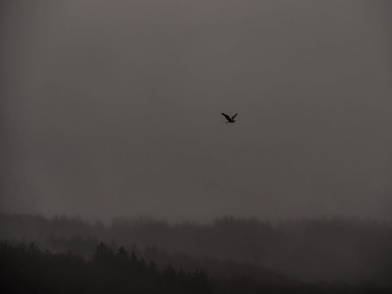 Héron au-dessus des montagnes par Larissa Geuke