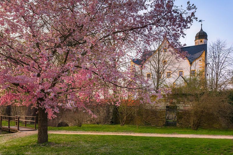 Wasserschloss Klaffenbach im Frühling von Daniela Beyer