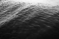 Ripples on the surface of the sea