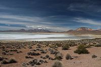 Salzebene auf dem Altiplano in Bolivien mit den Anden im Hintergrund