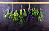 Frische Kräuter hängen vor einem rustikalen Hintergrund. Basilikum, Salbei, Thymian, Oregano, Dill, 