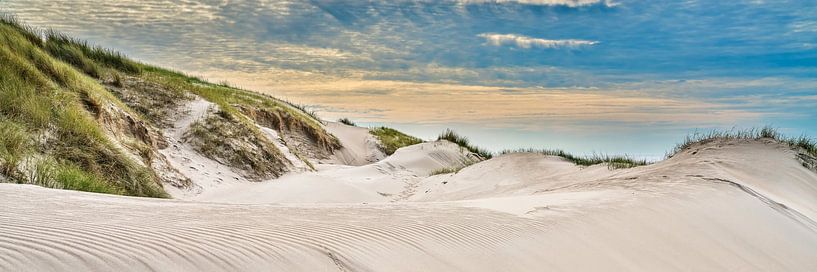 dunes de la côte néerlandaise en panorama par eric van der eijkj