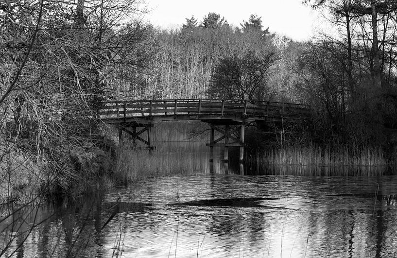 zwart wit foto van natuurgebied bij hilversum von ChrisWillemsen