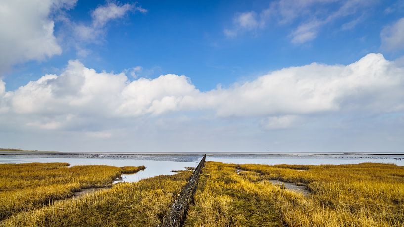 Salzwiese von rosstek ®