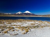 parinacota vulkaan dichtbij Arica