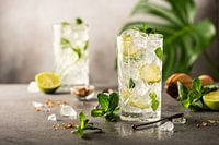 Mojito Cocktail mit Limette und Minze in einem Longdrinkglas