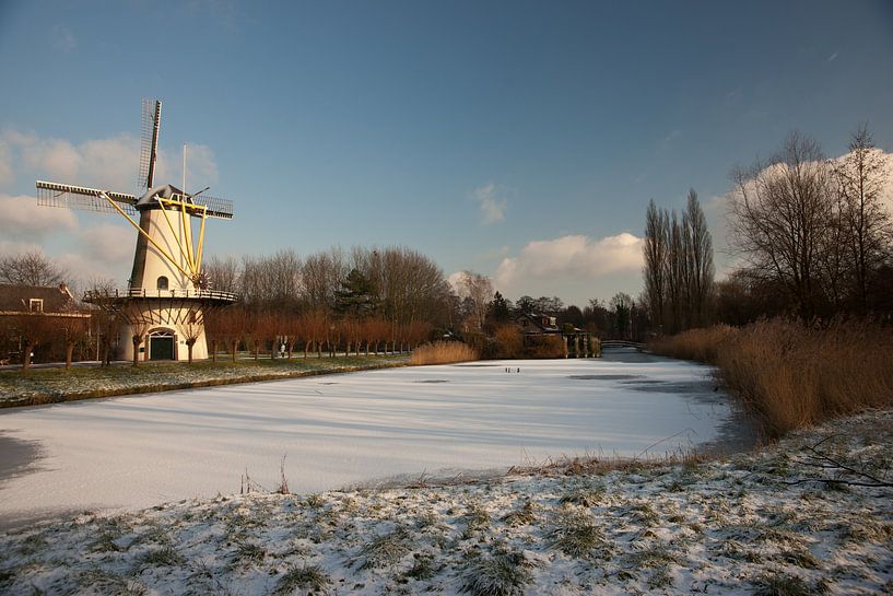 Molen de Zandweg Rotterdam-Zuid von Pieter van Roijen