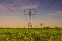 Electricity pylons through the meadow