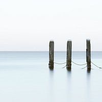 Poller am Pferd von Marken (Seestück)