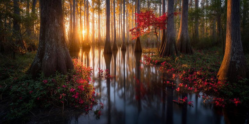 Stille vor dem Licht von fernlichtsicht