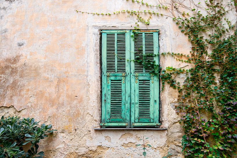 Les vieilles portes en Italie par Ellis Peeters