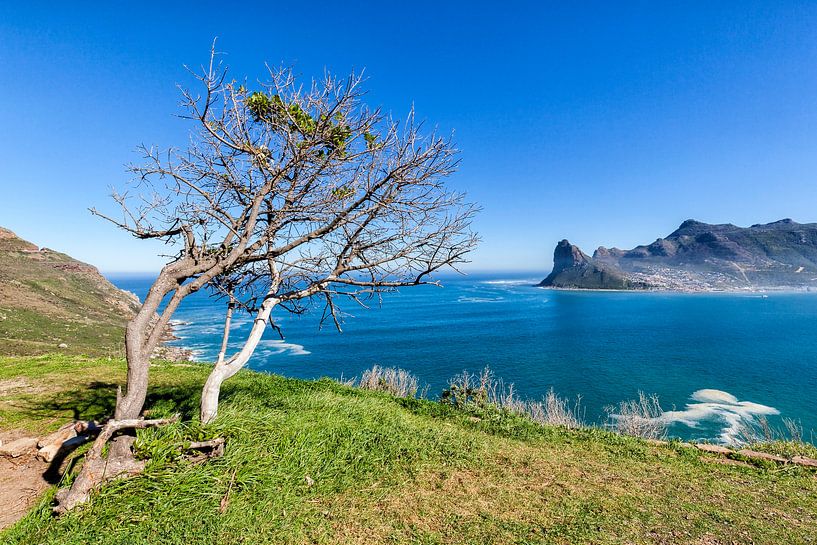 Wood Bay Cape Peninsula Südafrika von Cor de Bruijn Photography