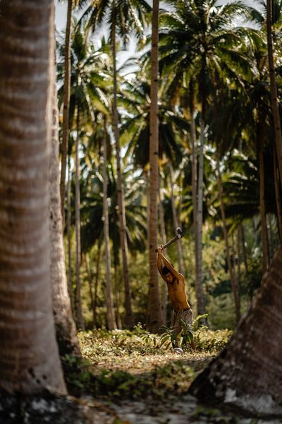 Working on the coconut plantation in the Philippines by Yvette Baur
