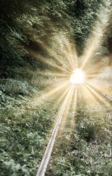 Zum Licht von H. Jörg Herzog