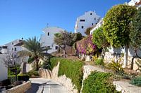 Vorort von Altea mit weißen Villen mit üppiger Vegetation gegen einen Hügel