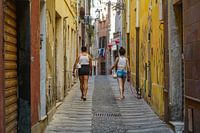 Scène de rue avec deux oiseaux de paradis et un chien