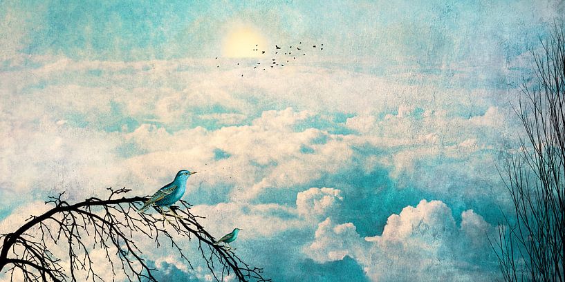 HEAVENLY BIRDS III-B2-Panorama von Pia Schneider