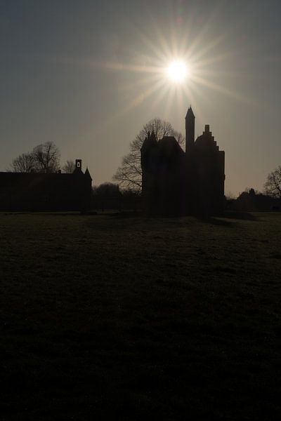 Château médiéval de Doornenburg par Moetwil en van Dijk - Fotografie