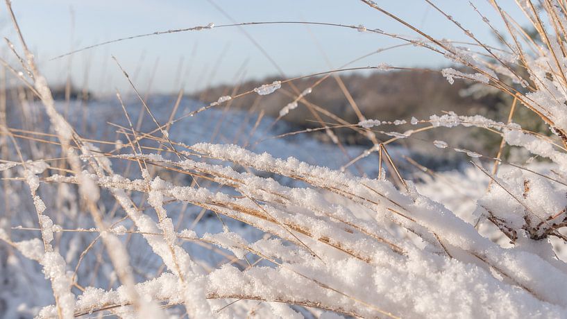 La première neige du matin par Aandenken in Beeld